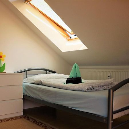 Zentral Gelegene Wohnung Nahe Schwanenteich 츠비카우 외부 사진
