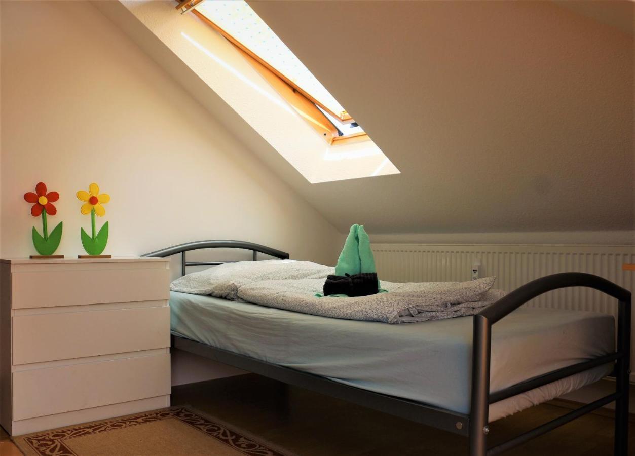 Zentral Gelegene Wohnung Nahe Schwanenteich 츠비카우 외부 사진