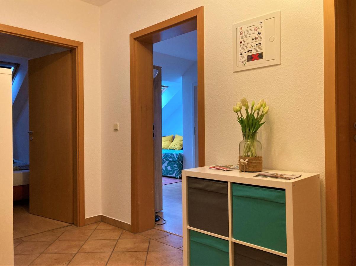 Zentral Gelegene Wohnung Nahe Schwanenteich 츠비카우 외부 사진