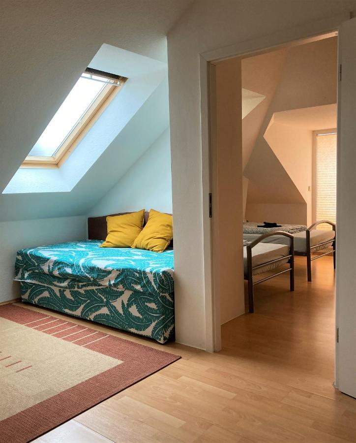 Zentral Gelegene Wohnung Nahe Schwanenteich 츠비카우 외부 사진
