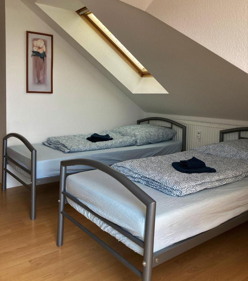 Zentral Gelegene Wohnung Nahe Schwanenteich 츠비카우 외부 사진