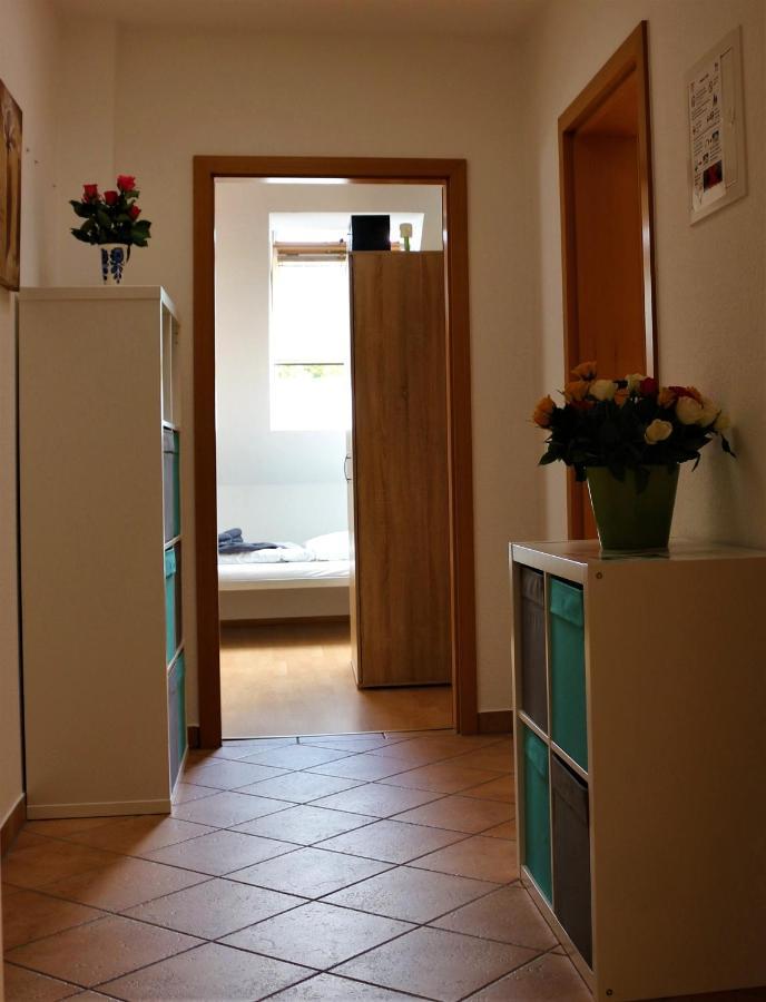 Zentral Gelegene Wohnung Nahe Schwanenteich 츠비카우 외부 사진