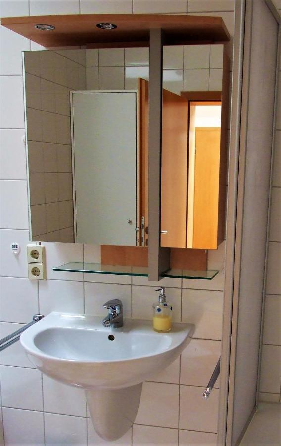 Zentral Gelegene Wohnung Nahe Schwanenteich 츠비카우 외부 사진