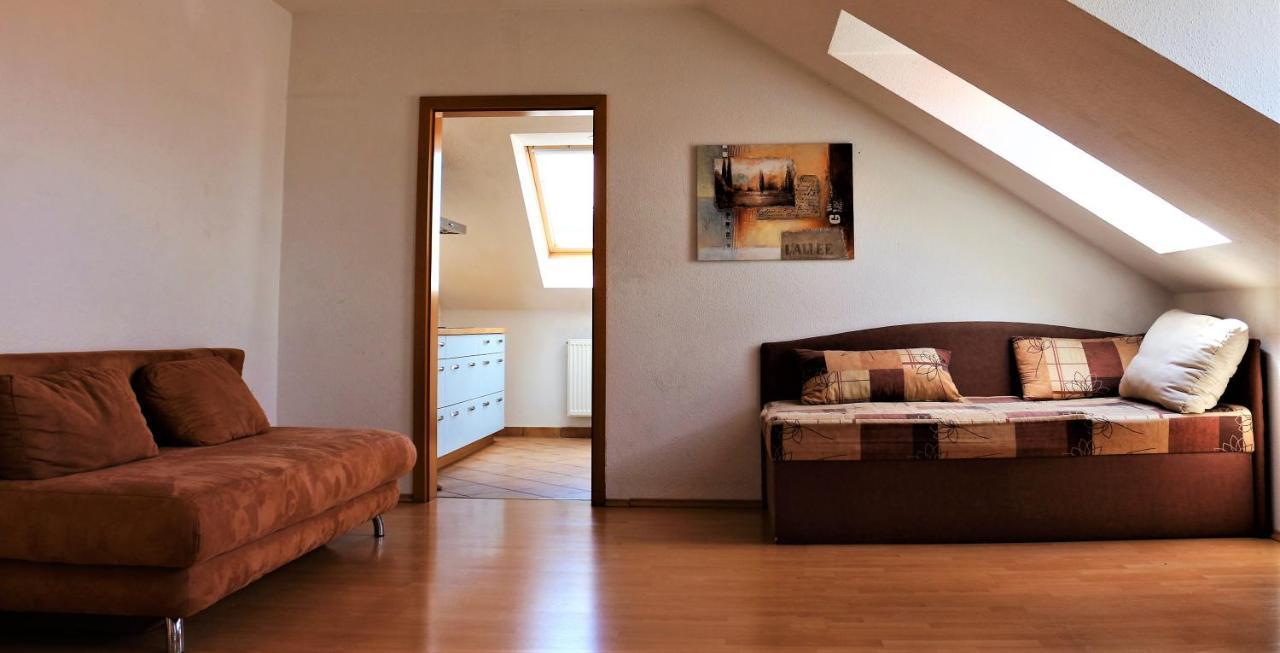 Zentral Gelegene Wohnung Nahe Schwanenteich 츠비카우 외부 사진