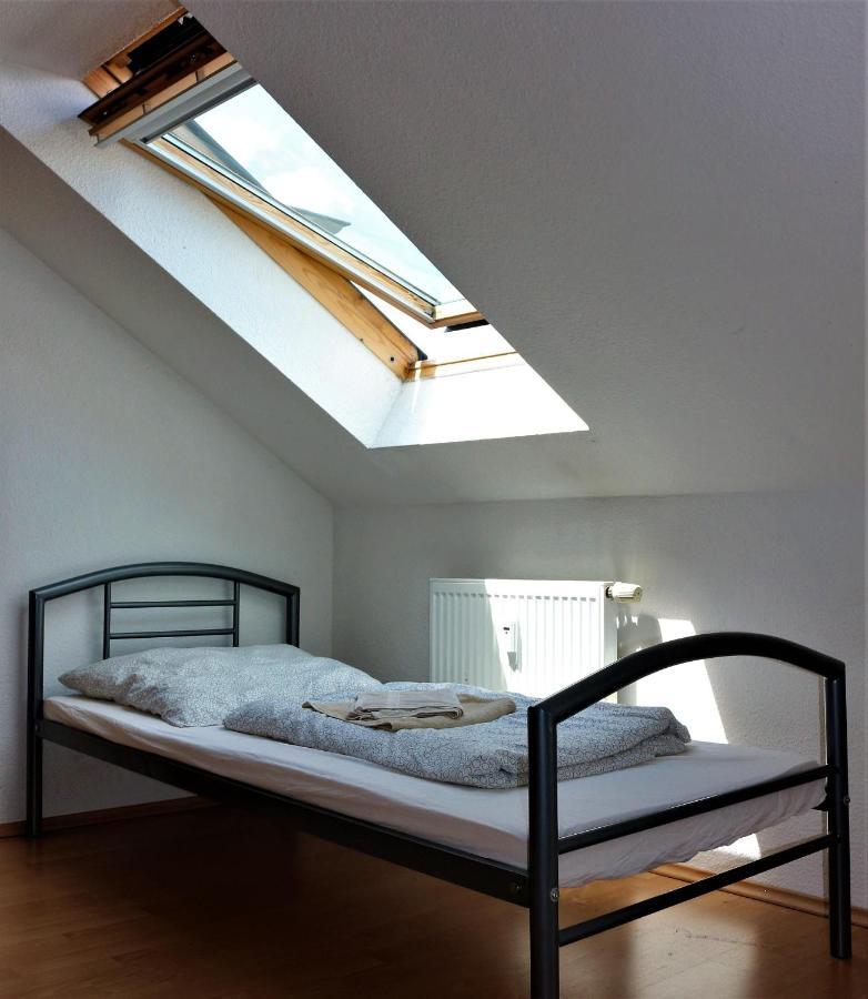 Zentral Gelegene Wohnung Nahe Schwanenteich 츠비카우 외부 사진